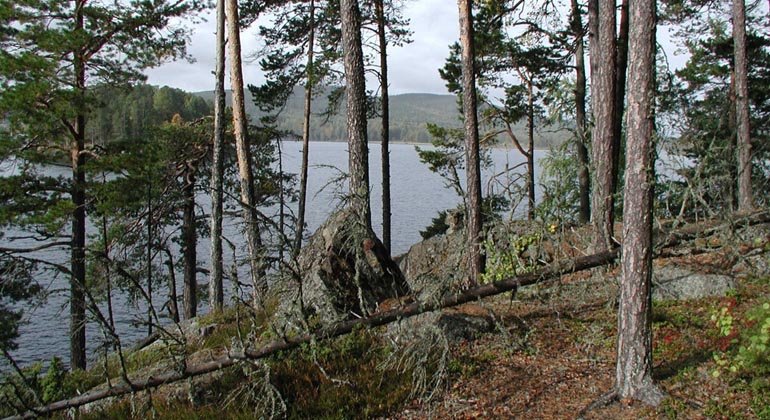 Storön är omgiven av Storsjöns vatten vid Bergsjö.