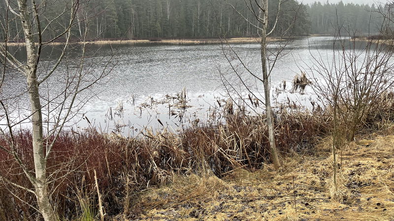 Shore fishing, Lake Götarpsjön