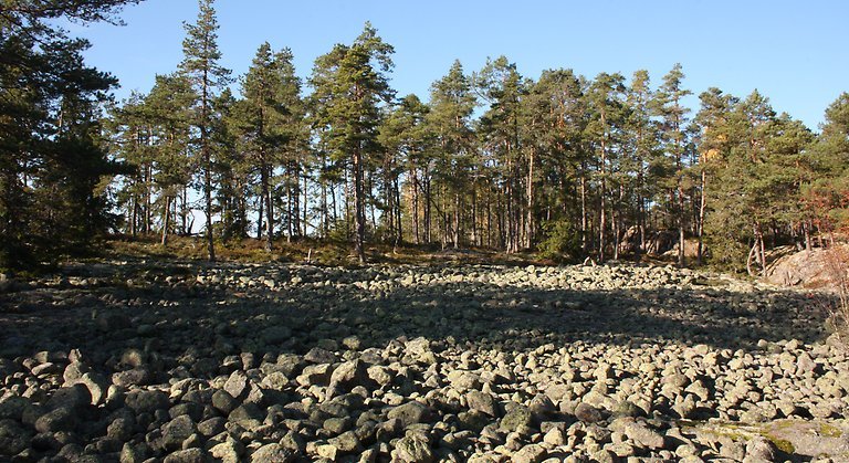 Delar av stigarna är svårtillgängliga med stora klippblock längs vägen.  I Mössnäsuddens naturreservat finns klapperstensfält, gravhögar och gammal tallskog.
