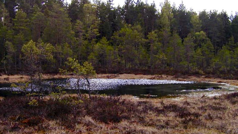Hallstahammar MTB - Spåret (Motionscentrum)