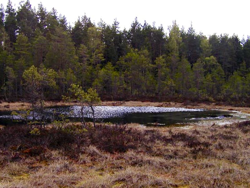 Hallstahammar MTB - Spåret (Motionscentrum)