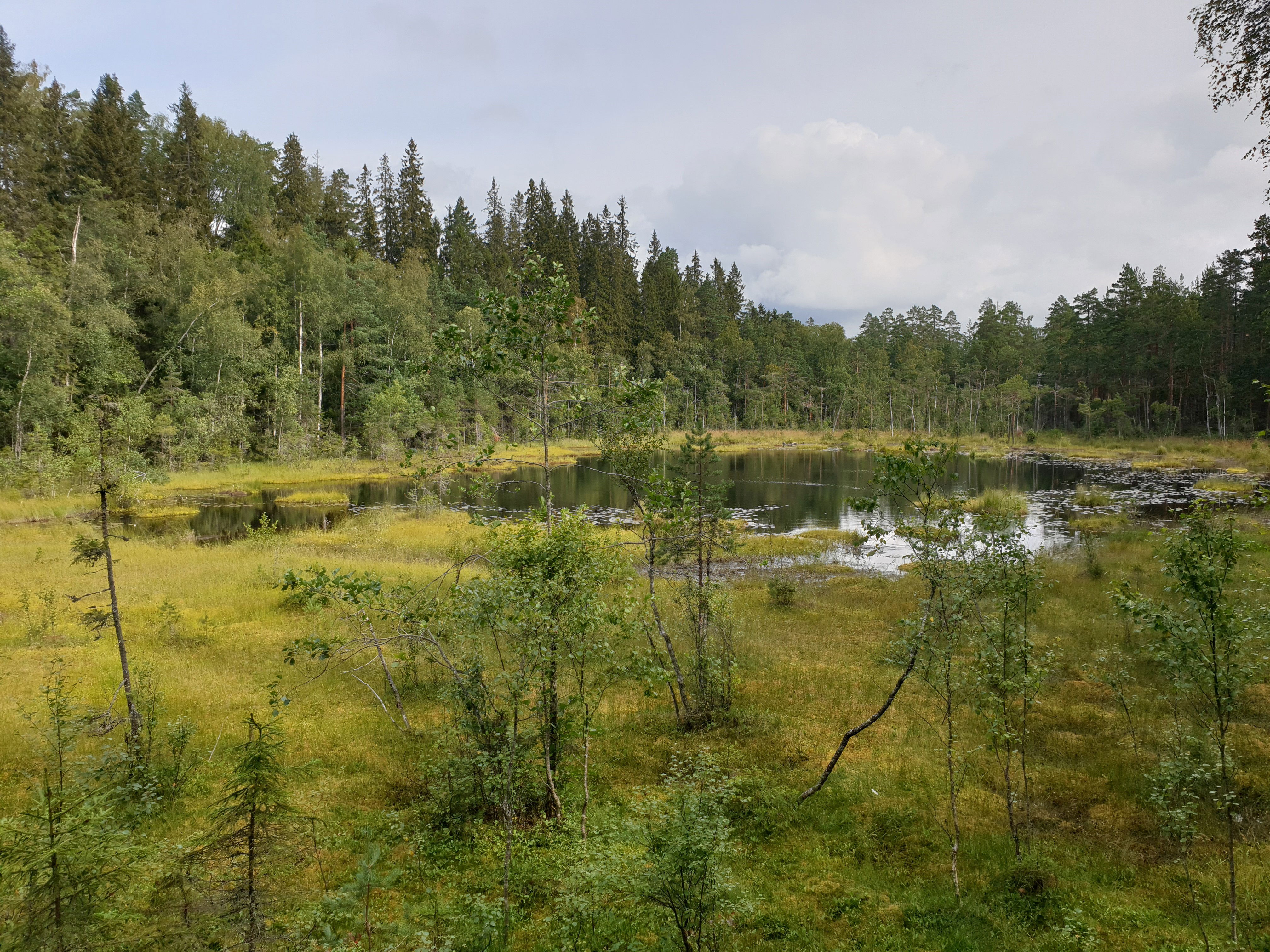 Skinnskatteberg - Ormdalsslingan (in Swedish)