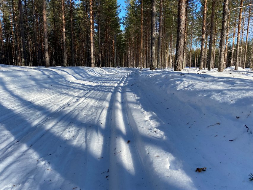 The xc trails in Gyljen