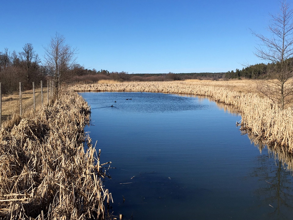 Å med mycket vass runt om.