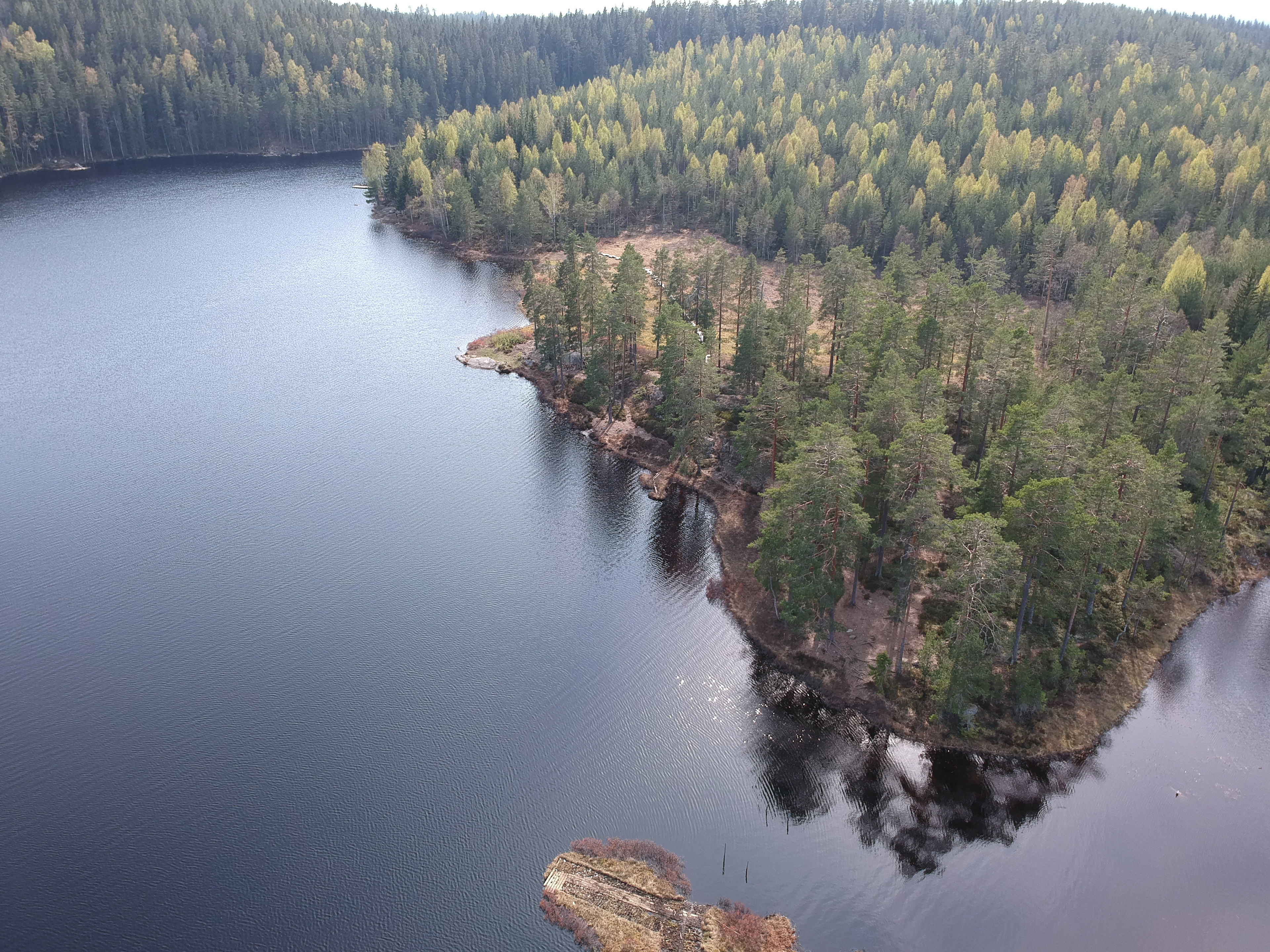 Abborrtjärn