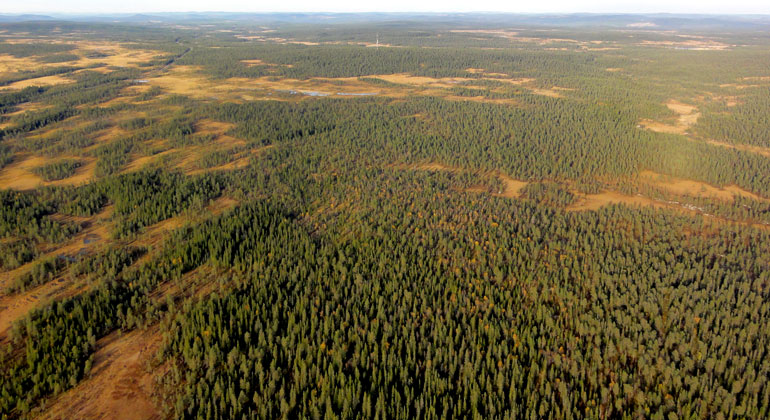 I horisonten syns en mast. Den ligger inne i det intilliggande reservatet Våmhuskölen. Till höger i bild syns Brändfljoten som ligger i Norra Mora vildmarks sydöstra del.