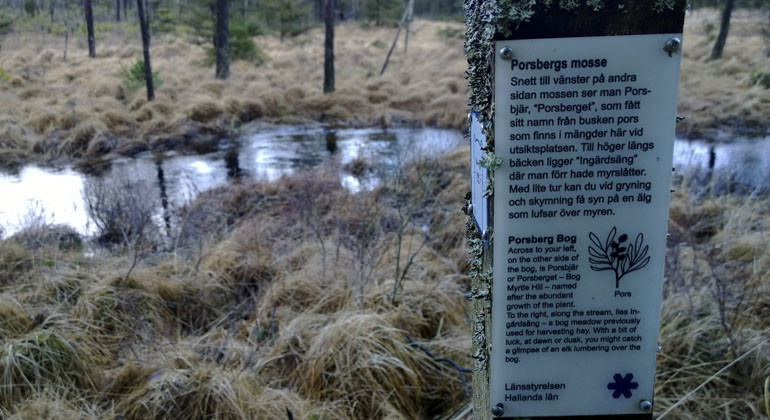 beskrivande skylt i reservatet