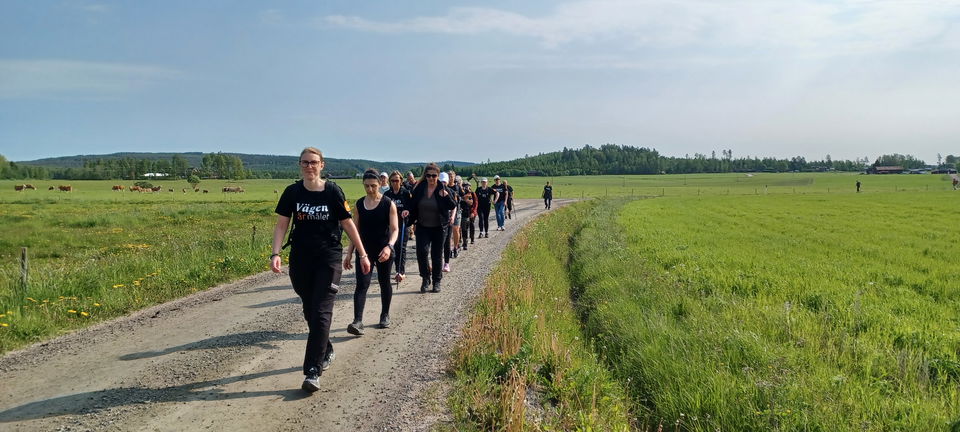 Pilgrimsvandring