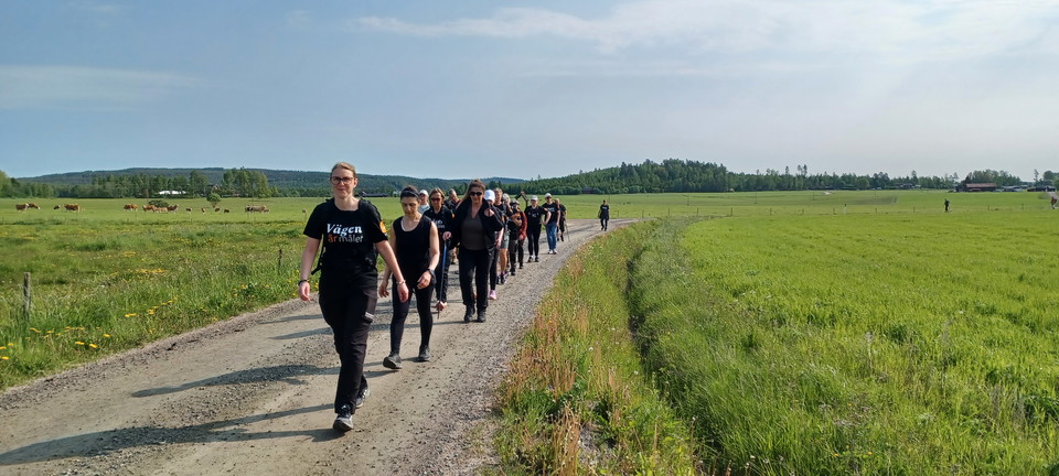 Pilgrimsvandring