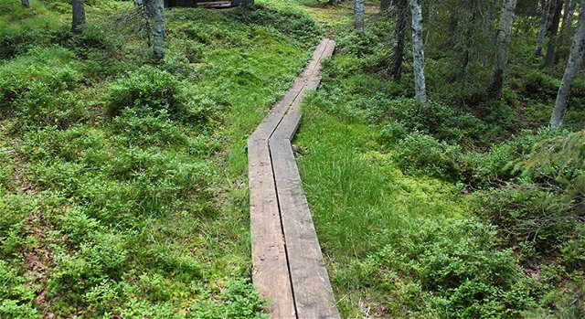 Trail to the well, Lamburträsket
