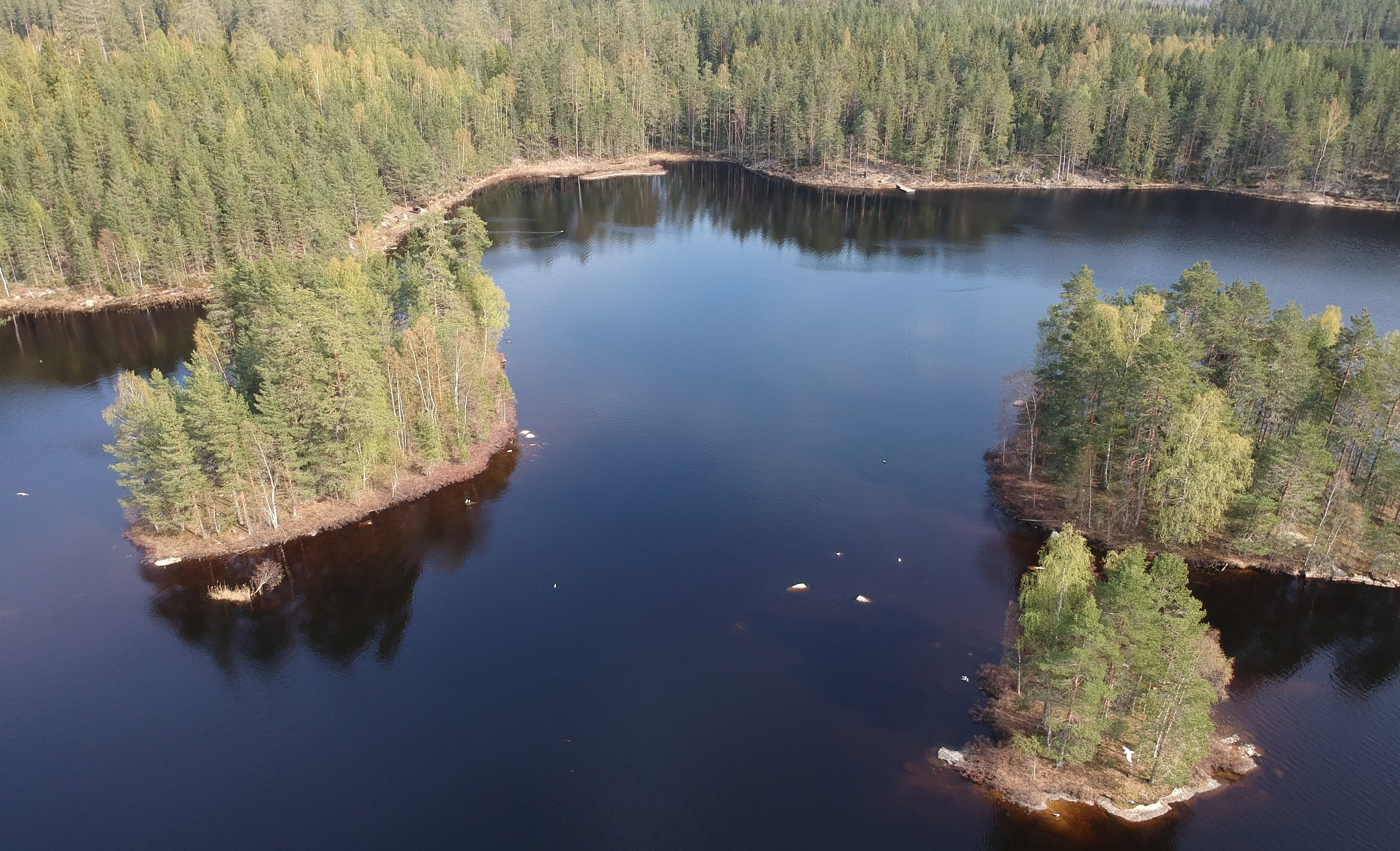 Abborrtjärn