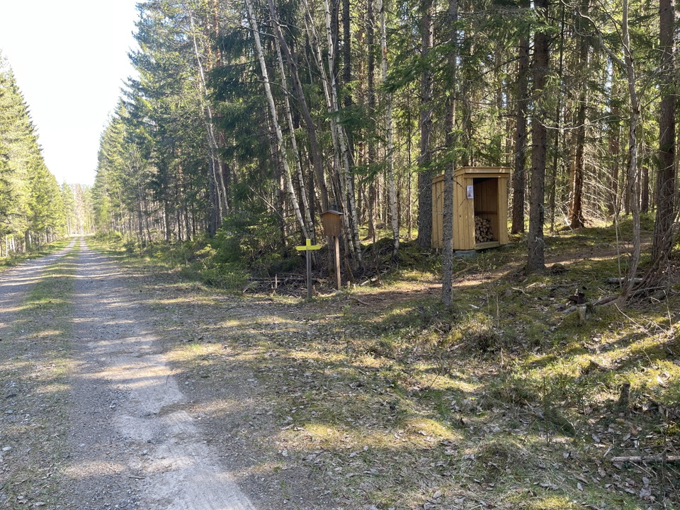 Vedförråd vid stig och skogsbilväg.