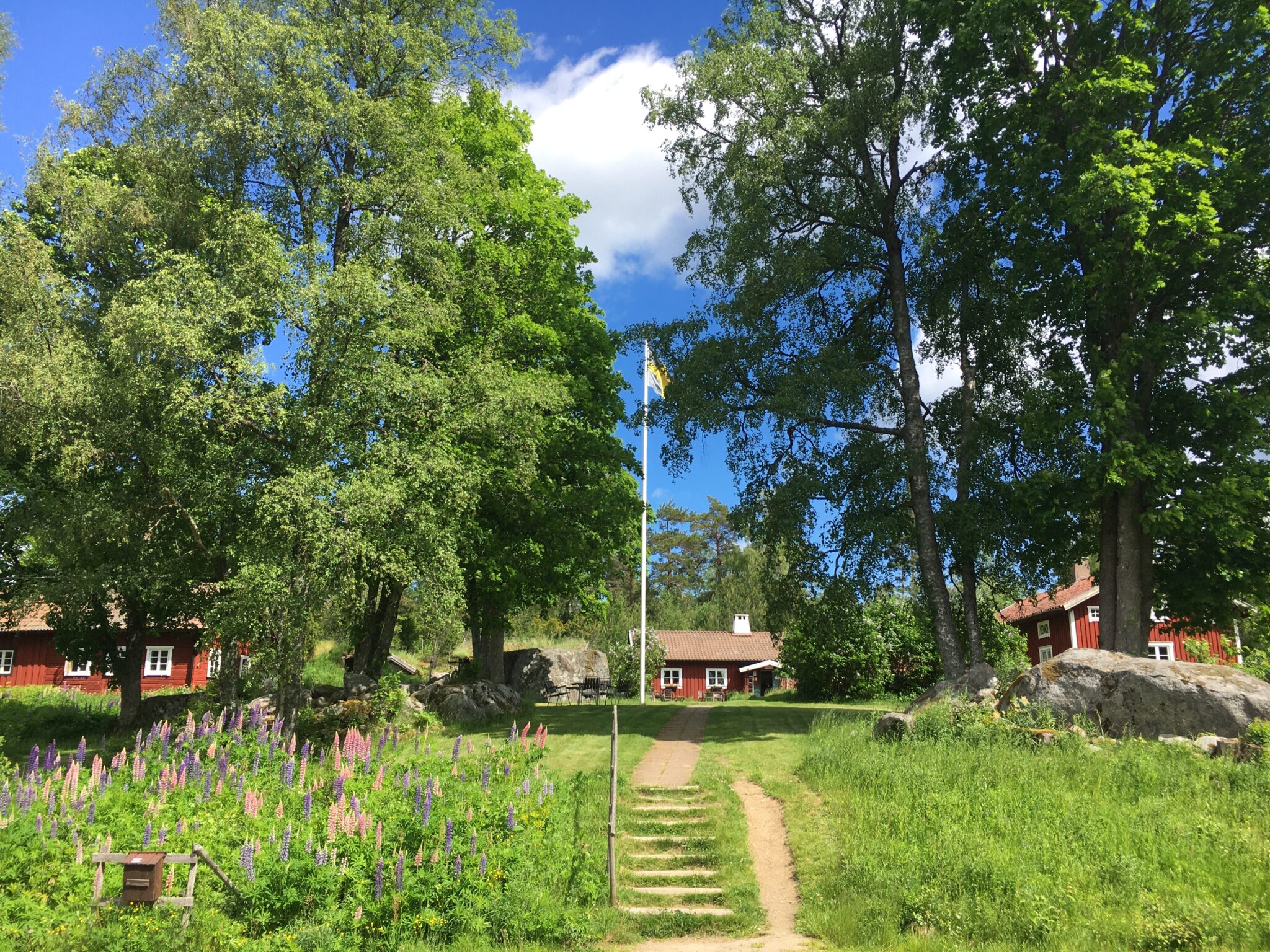 STF Tivedstorp