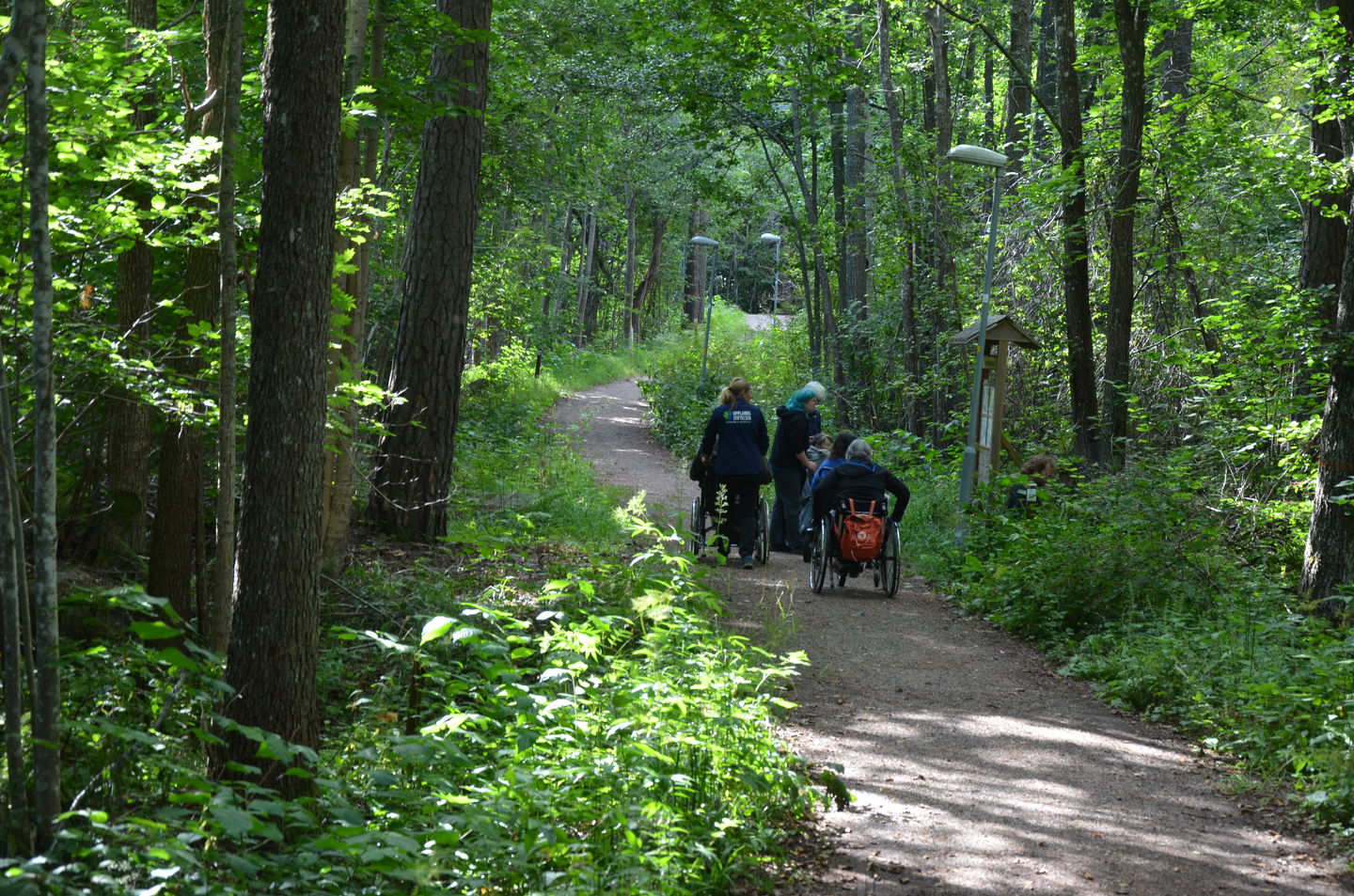 Några personer går på en brud grusad gångväg genom lummig grön skog