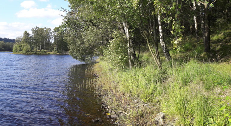 I reservatet finns en sjö som heter Töddesjön.