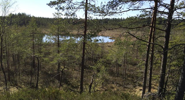 Råmossen, Naturreservat