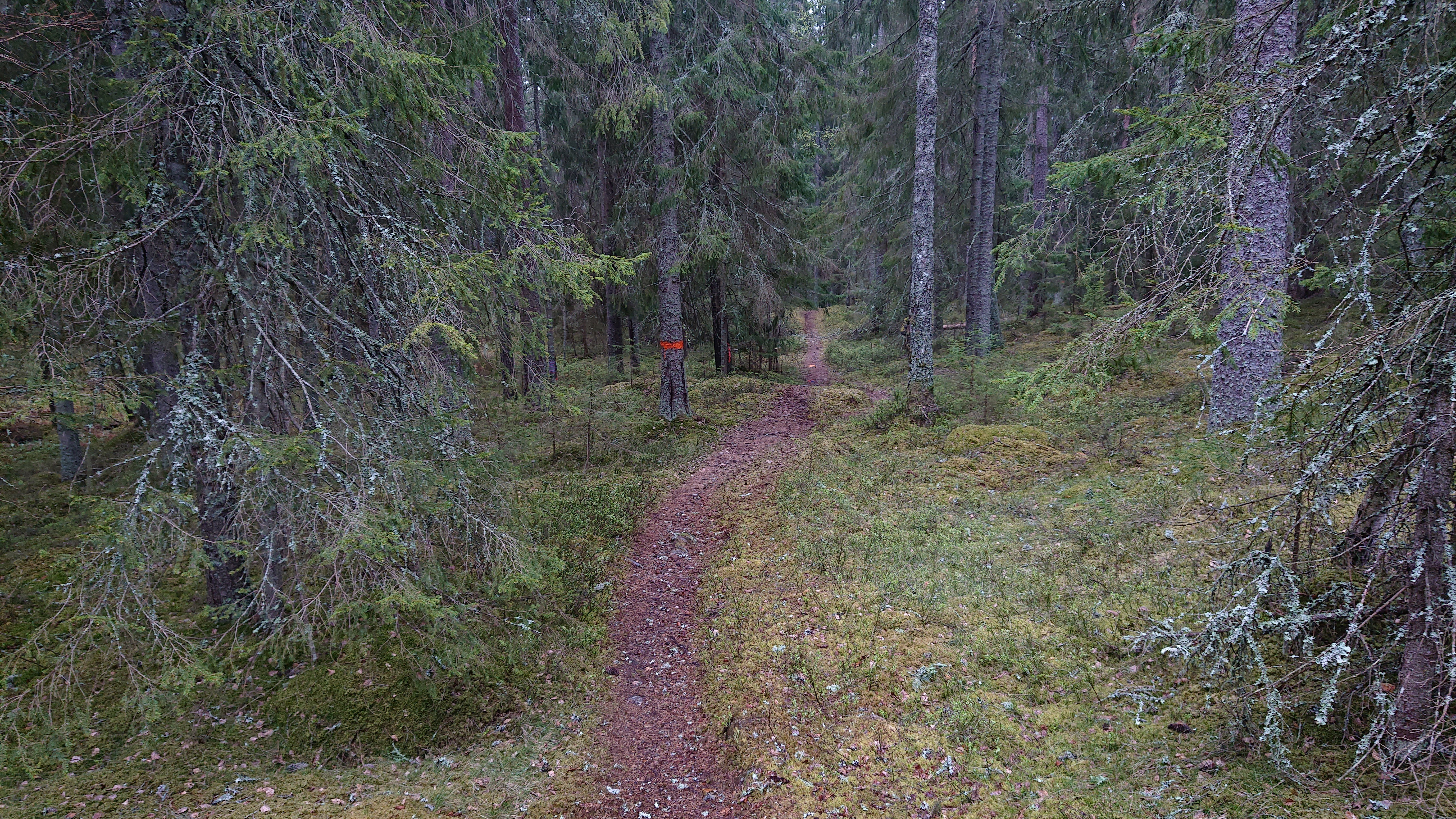 Del av Bruksleden