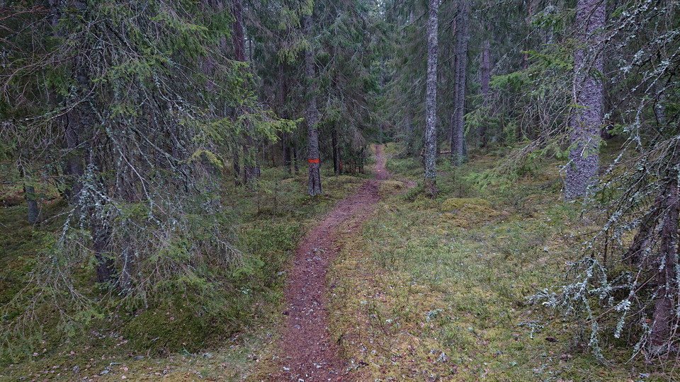 Del av Bruksleden