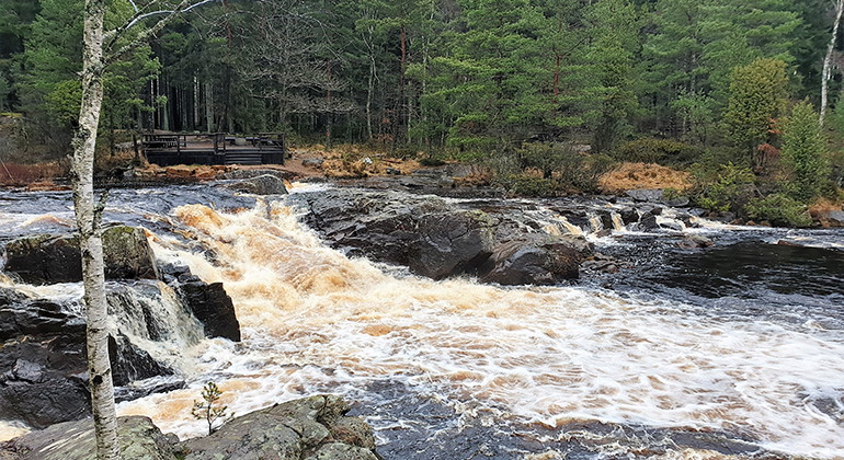 Krokån som rinner genom reservatet