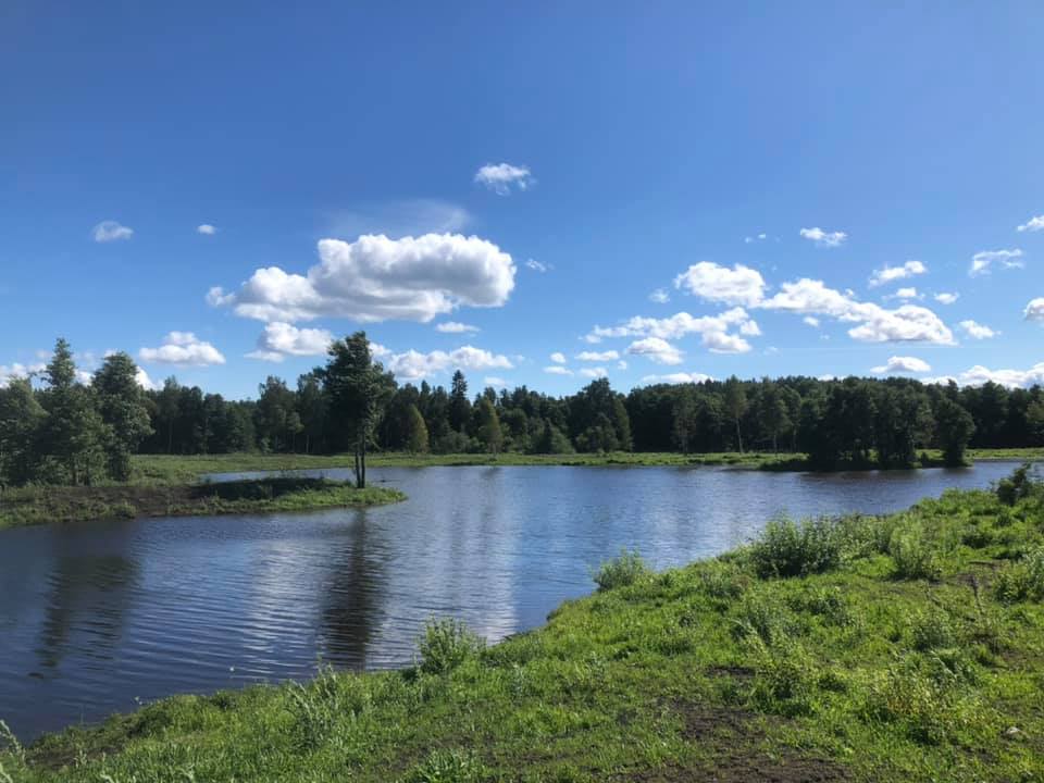Lindbomossen - foto:Sören Eriksson Naturvård Ab
