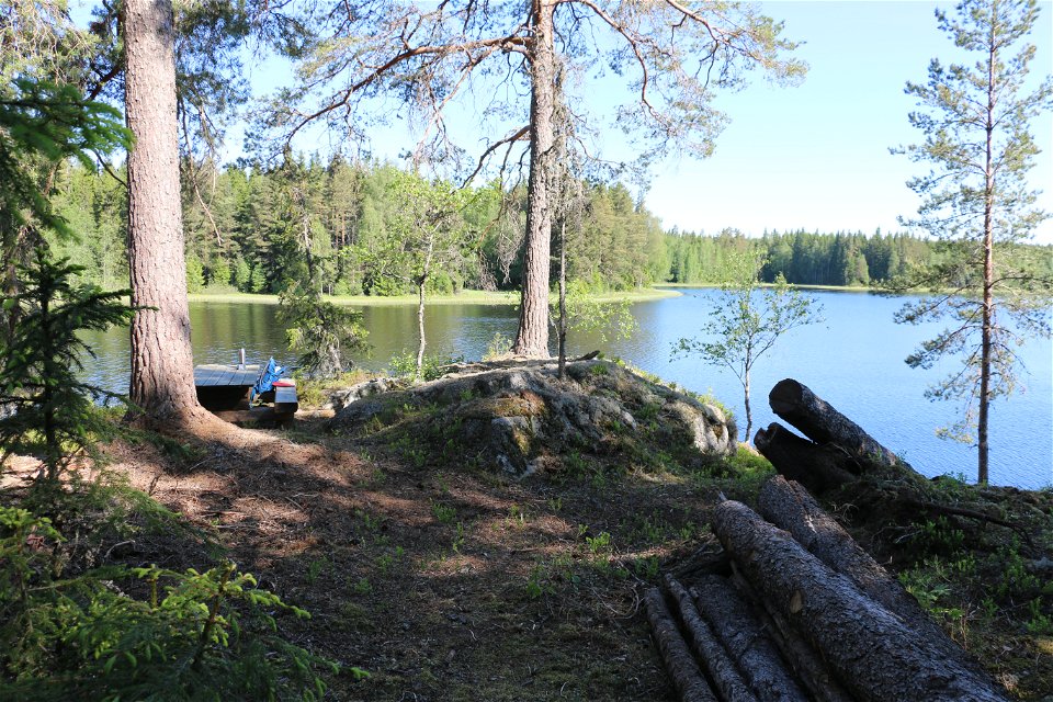 Skog med sjö i bakgrunden, ett picknickbord skymtar till vänster i bild.