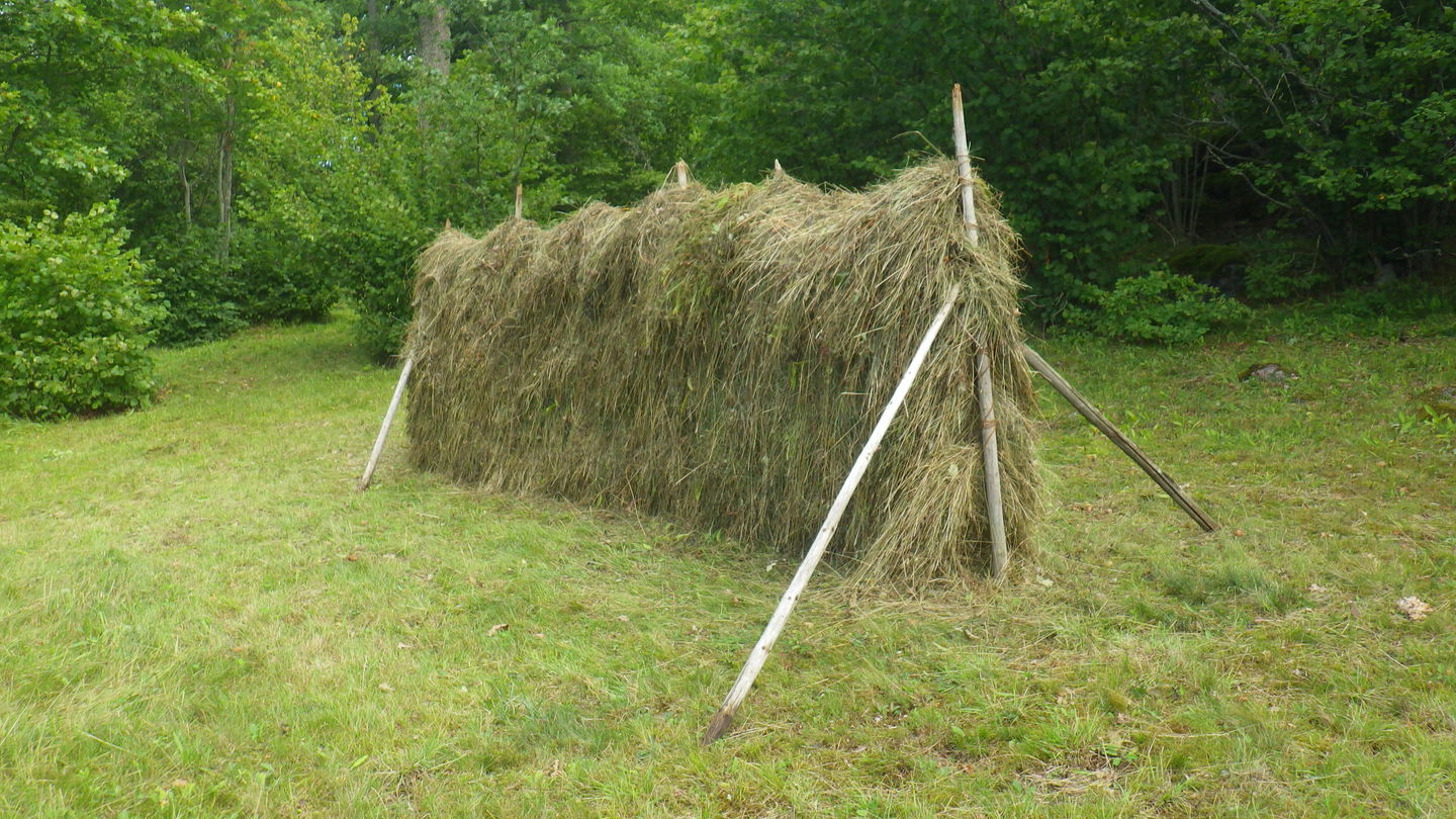 Hässja med ängshö