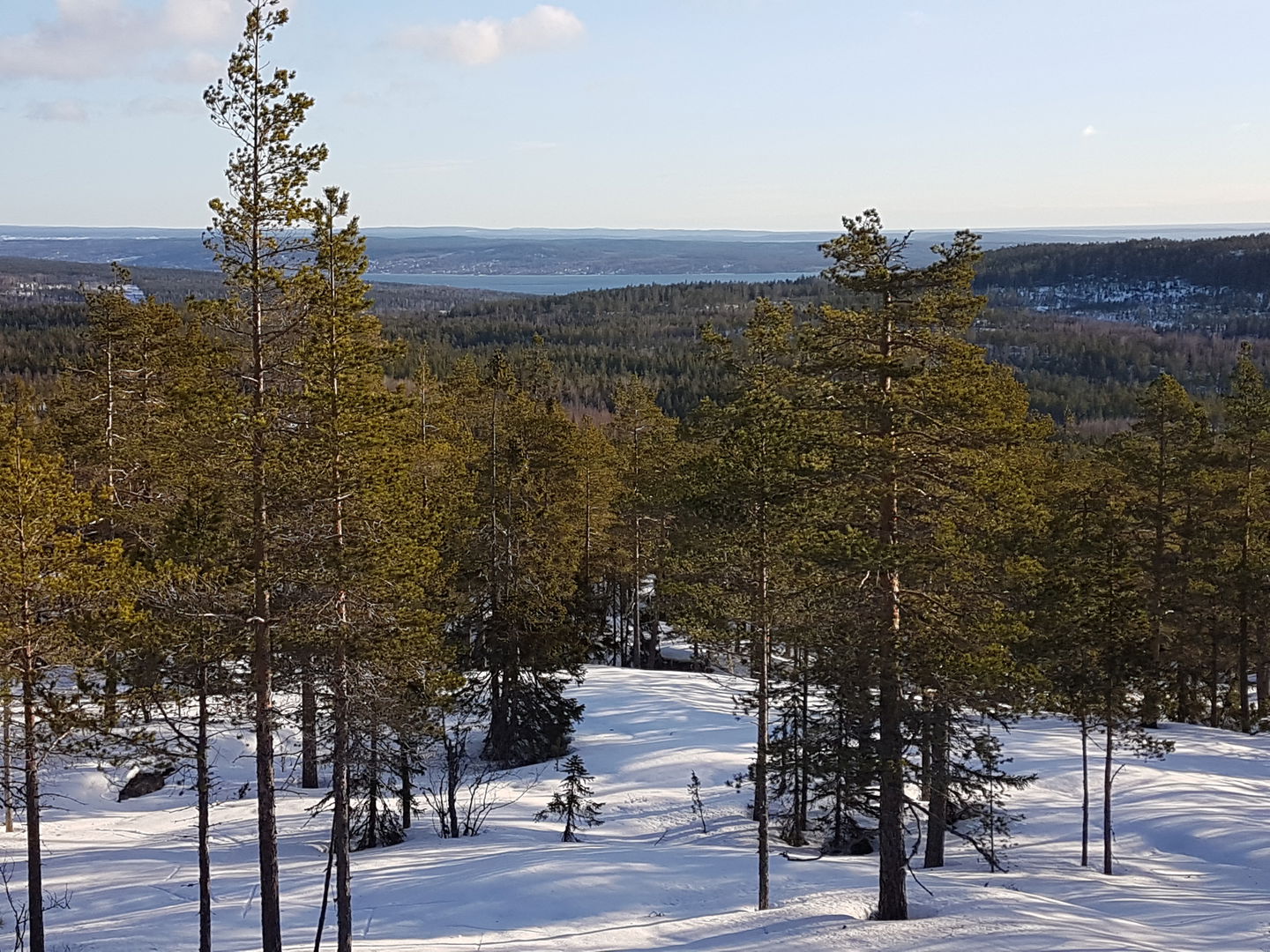 Utsikt mot Omsberget och havet i öster
