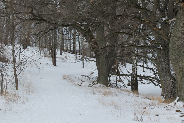 Naturstig runt Mariebergsudden