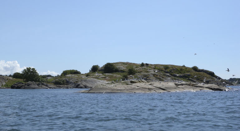 vy från havet mot klippa