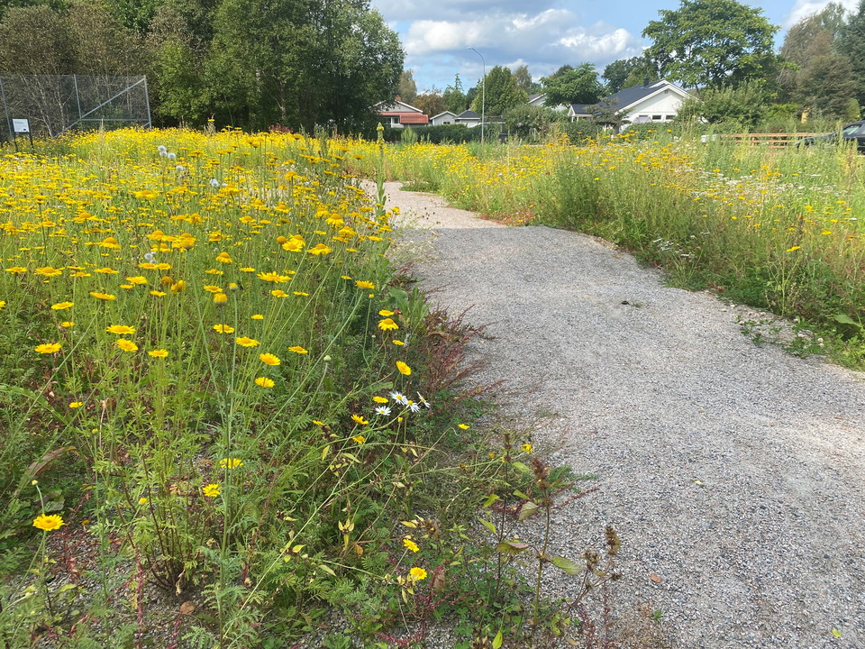 Pumptrackbana intill