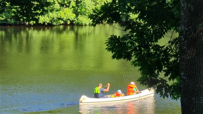 Ta med familjen på en utlykt i Strömsholms kanal