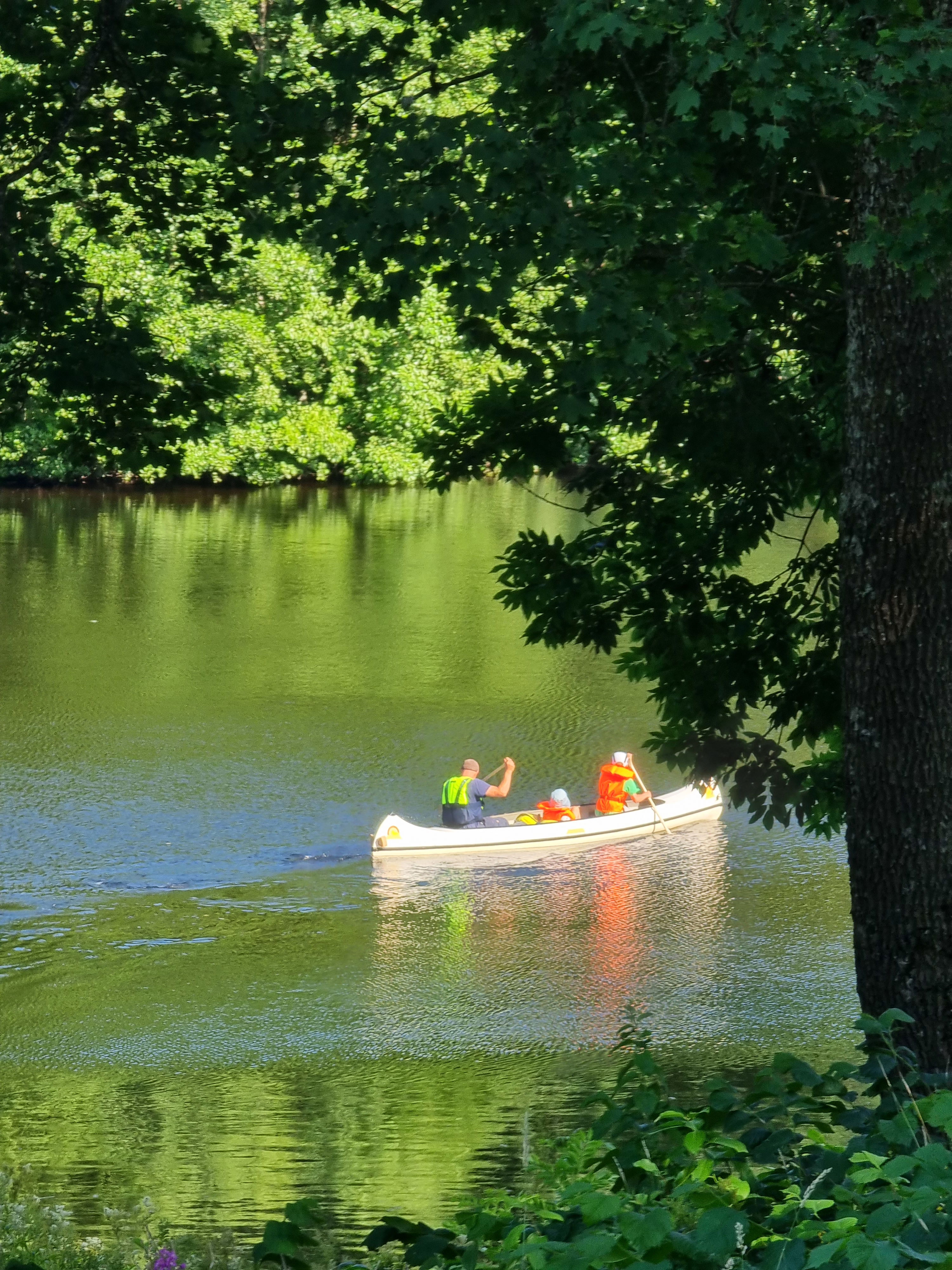 Ta med familjen på en utlykt i Strömsholms kanal