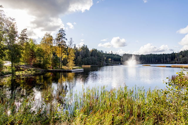 Badplats, Musasjön