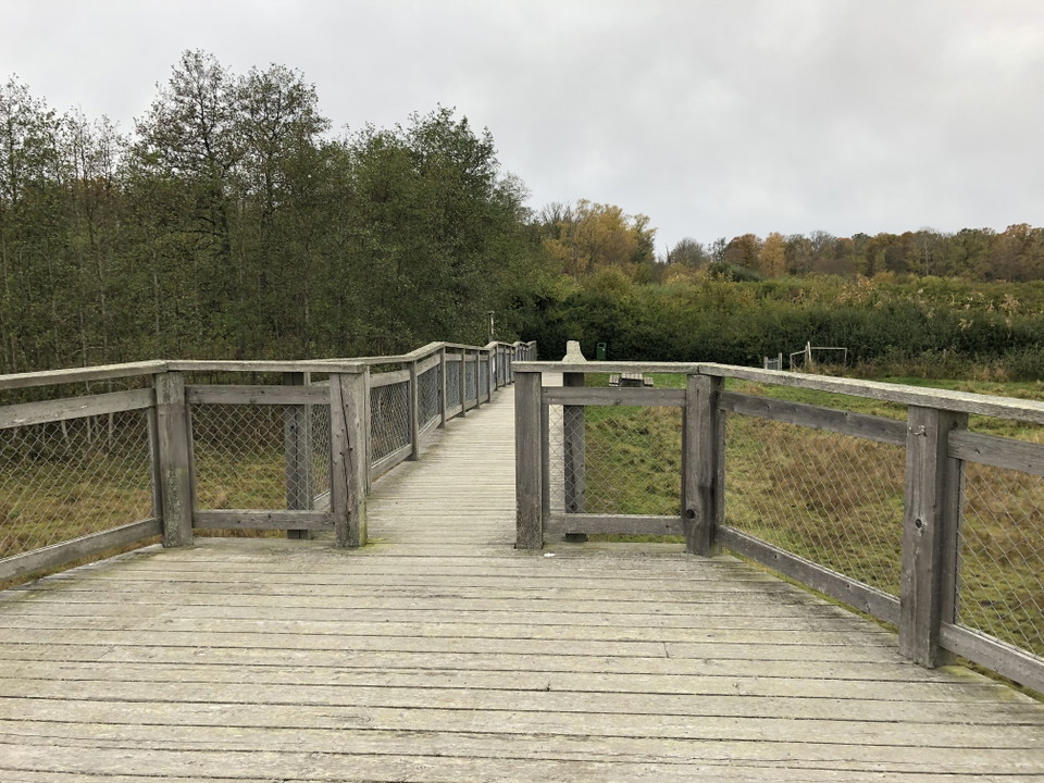 En svagt sluttande ramp leder ut till plattformen.