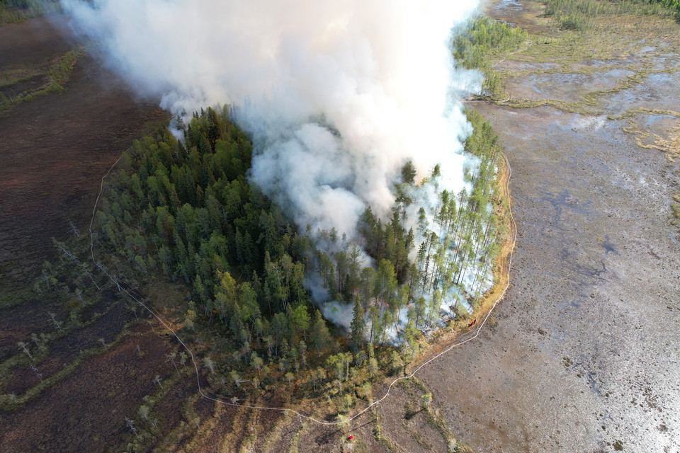 En myrholme med brandrök sedd från ovan.
