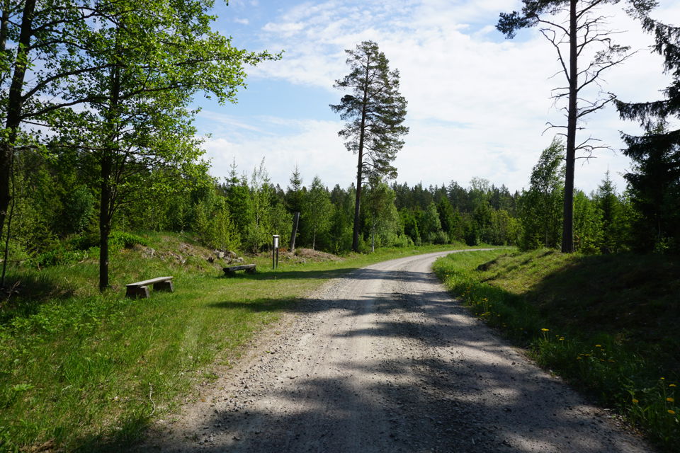 Fjärilsvägen är en grusväg med skog och växtlighet på sidan av. I bilden syns även en sittbänk. 