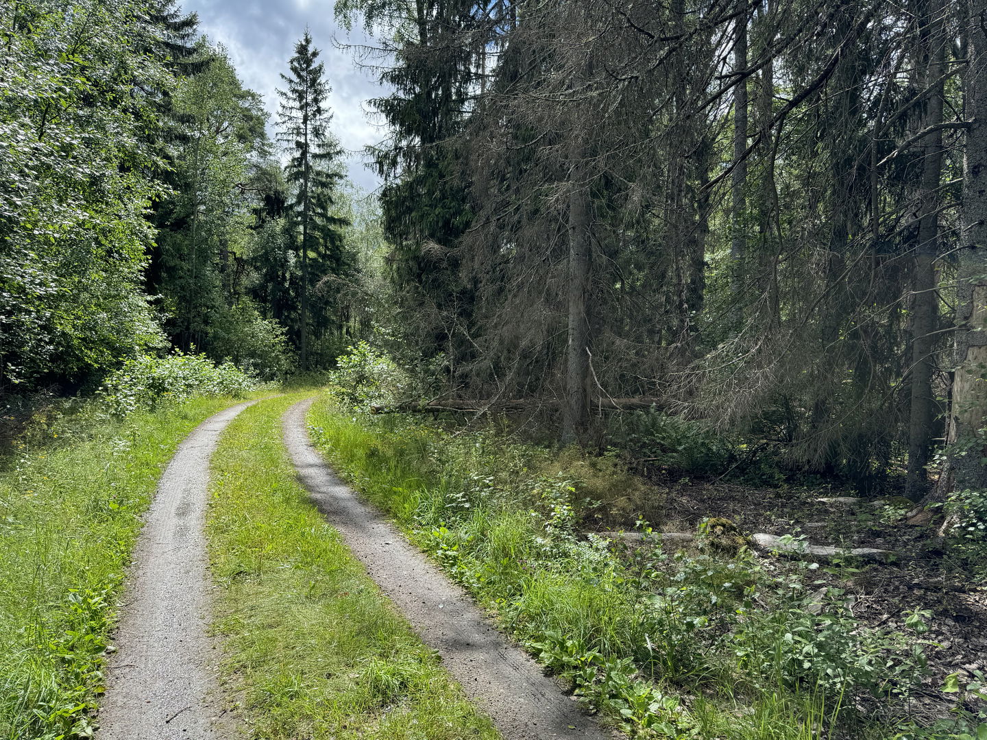 Väg vid naturreservatet