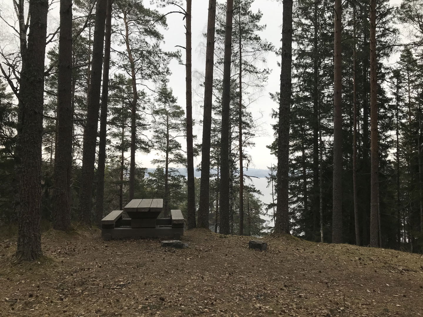 Rastbord i skoglig miljö med utsikt över sjön i bakgrunden.