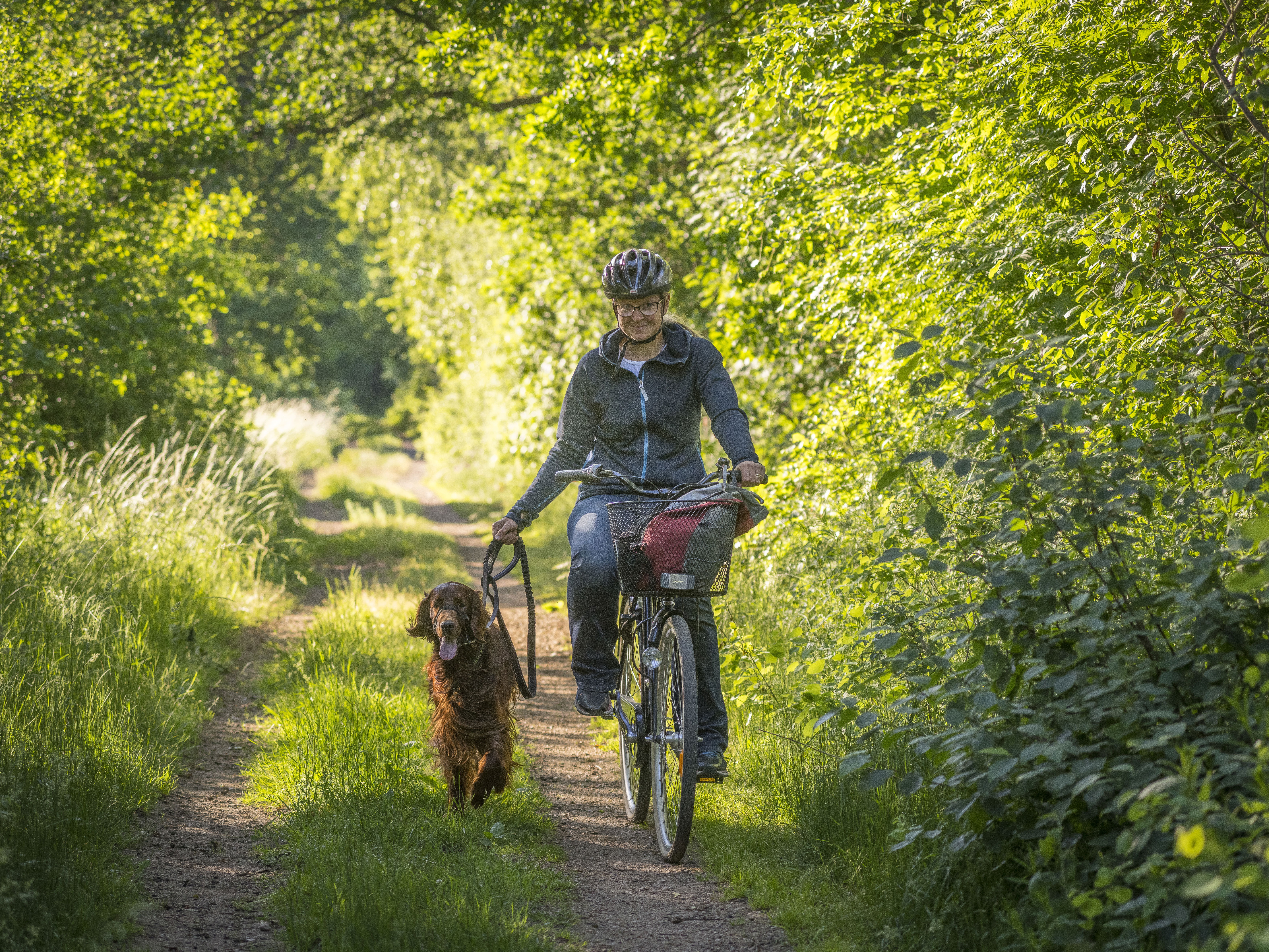 Tidsresa cykeltur Ljungbyhed-Riseberga, Klippan