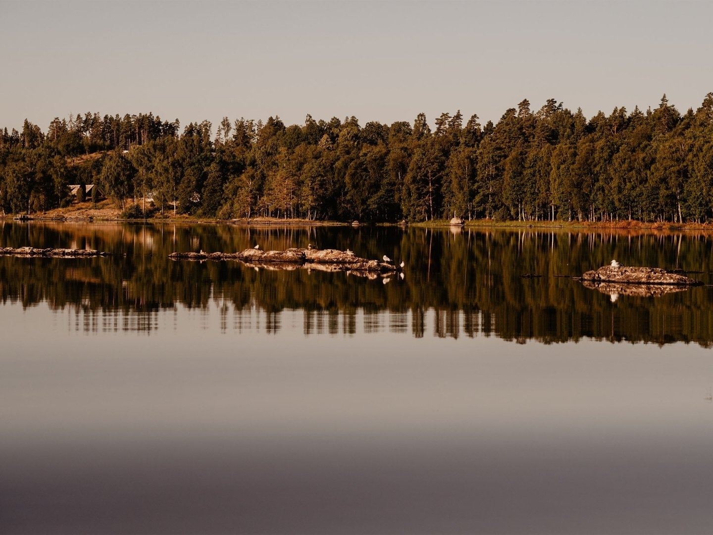   STF Stiftsgården Tallnäs