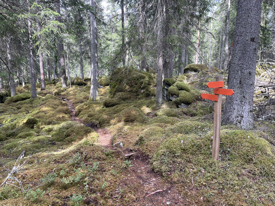 Stig och orange vägvisare på stolpe.