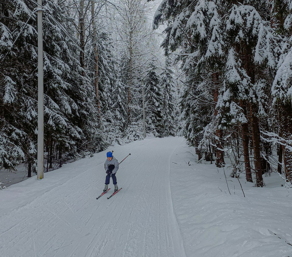 Se upp i backen - tusen hål i nacken! …