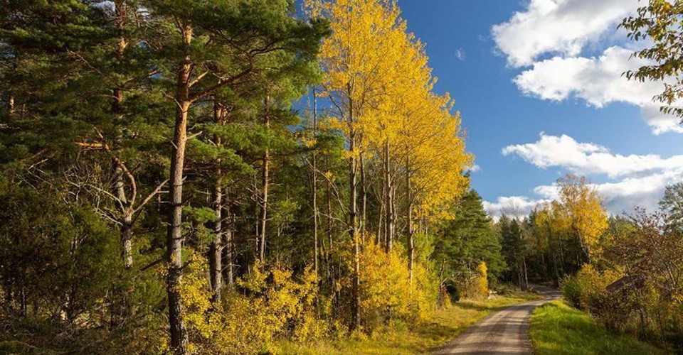 Etappen går till största delen på grusvägar mellan Halvsjön och Smedstorp.