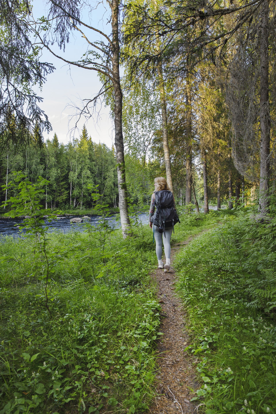Lövträden visar sina vackra höstfärger.