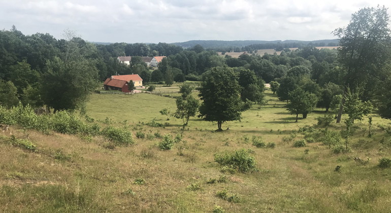 Utsikt över Boketorpet och Hovdala slott.