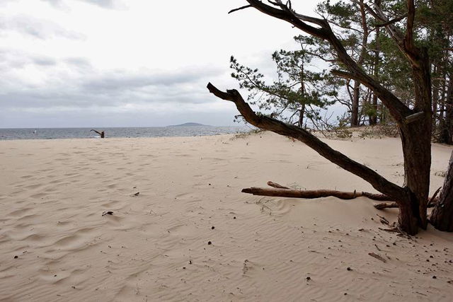 Bödakusten Västra naturreservat