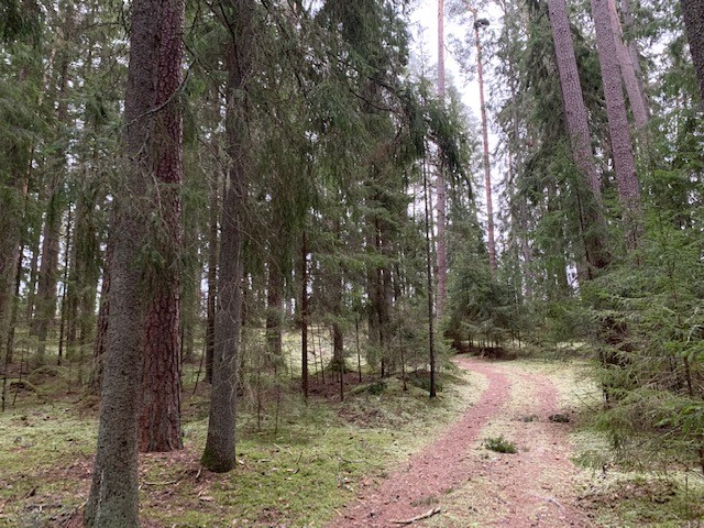 Längs med stigen