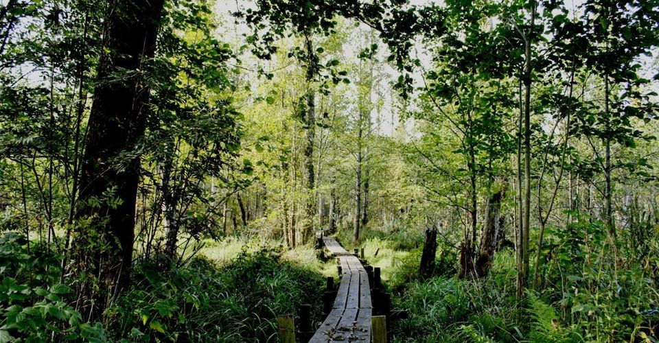 Västanvik
Rundslinga
Motala