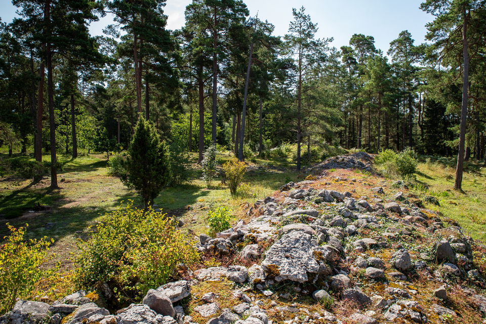Äldre stenmur i skogslandskap. En bred lång hög med sten.