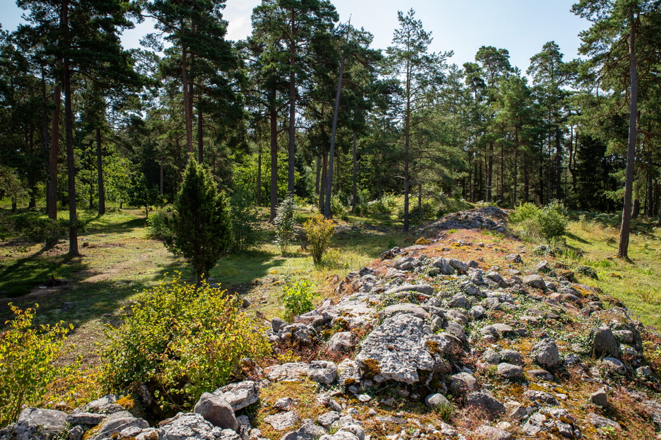 Äldre stenmur i skogslandskap. En bred lång hög med sten.